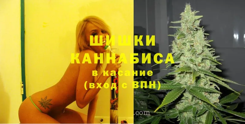 купить наркотики цена  Мамоново  Шишки марихуана Ganja 